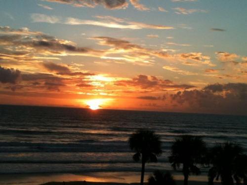 Daytona Condo With Beautiful Ocean And City View Daytona Beach Eksteriør bilde